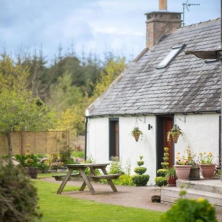 Cosy & Rustic Retreat - Woodland Cottage. Nairn Esterno foto