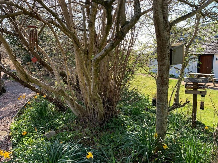 Cosy & Rustic Retreat - Woodland Cottage. Nairn Esterno foto