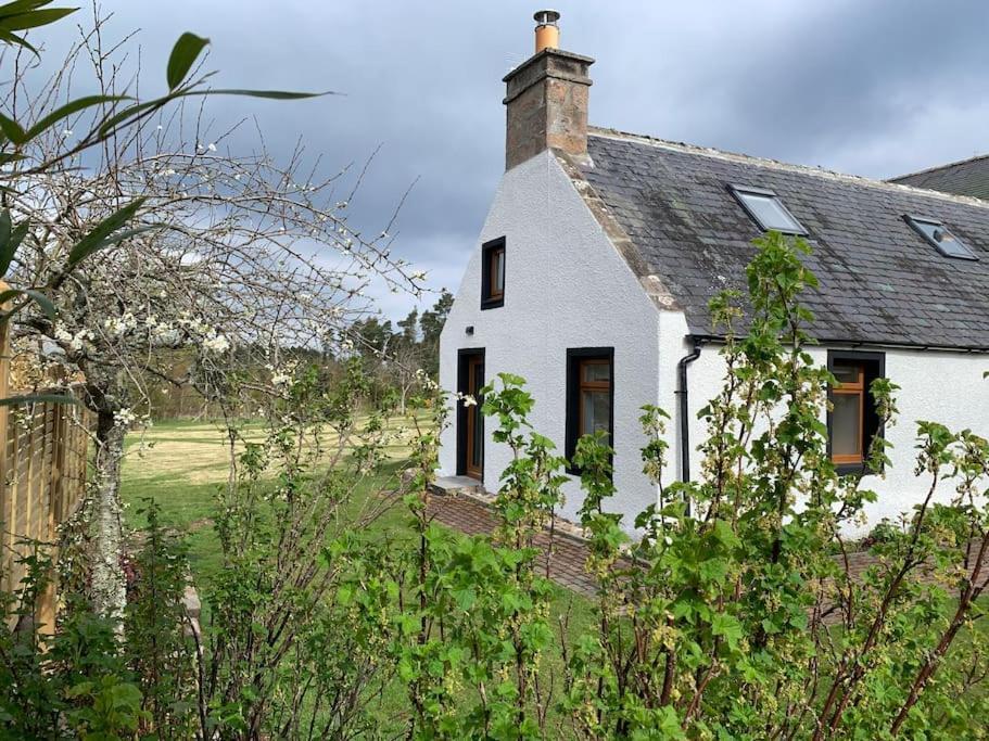 Cosy & Rustic Retreat - Woodland Cottage. Nairn Esterno foto